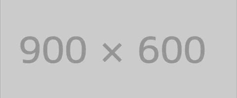 2 Canoe gratis per day