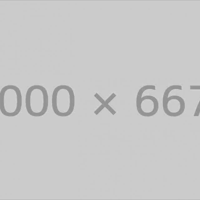 Latest WordPress News