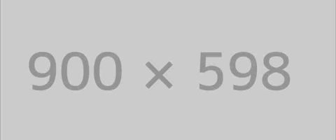 Bungalow in the Forest