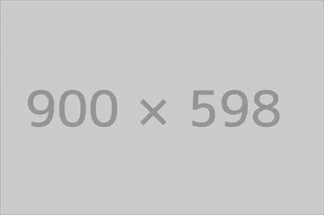 Bungalow in the Forest