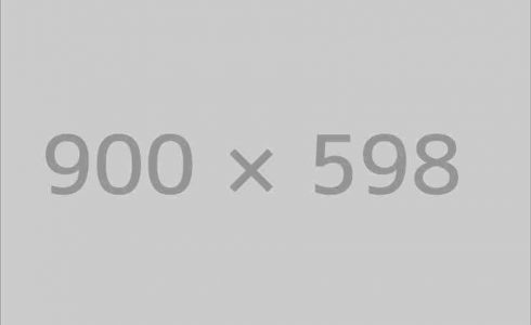 Bungalow in the Forest