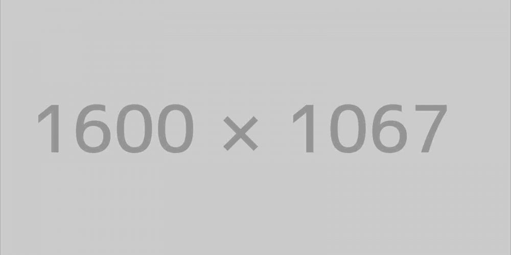 Competition for the best Sandy Castle