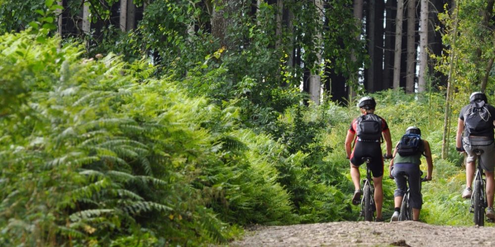 wandelen, fietsen, sauna....alles is mogelijk